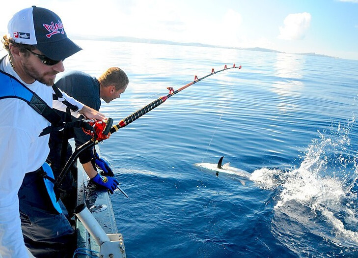 Los Sueños & Jacó Fishing Report – July 1–15, 2026