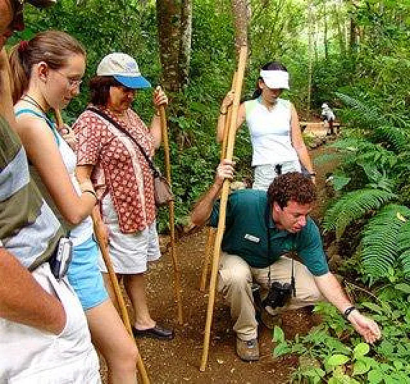 Costa rica canopy tours m